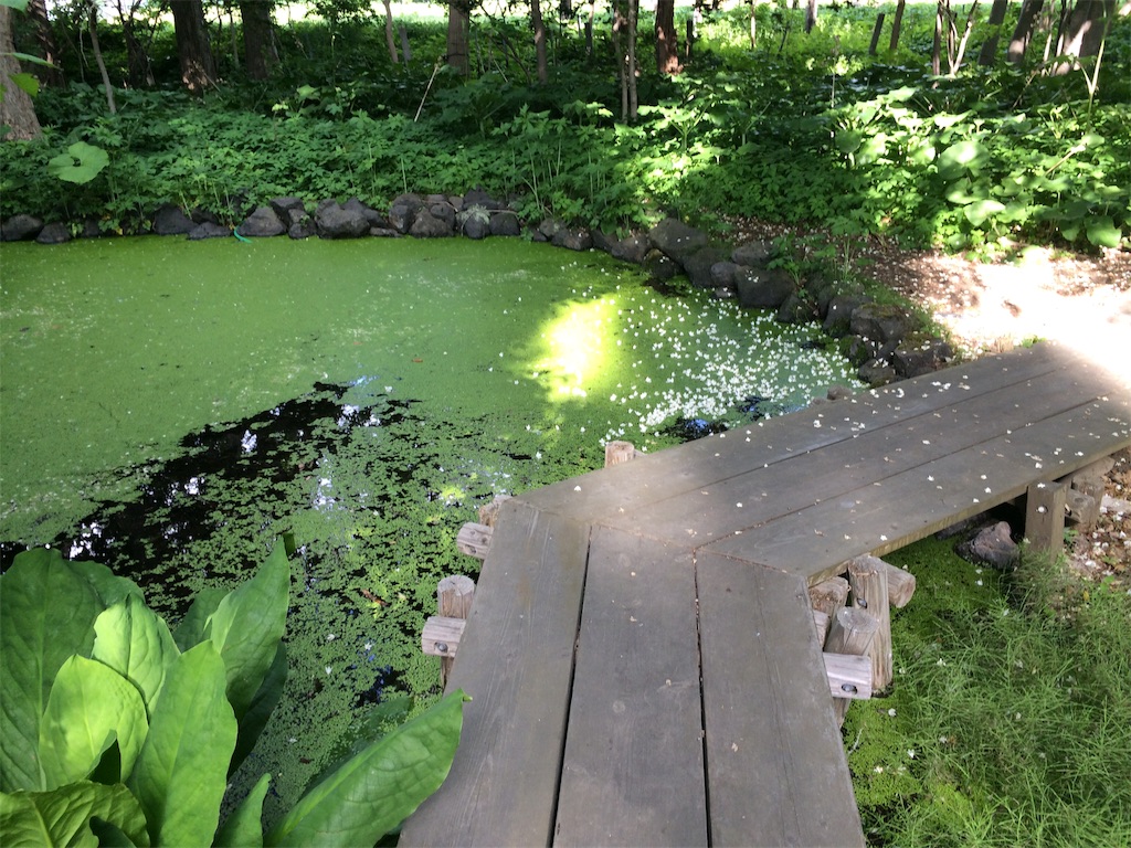 f:id:nagoyaman:20190715160531j:image