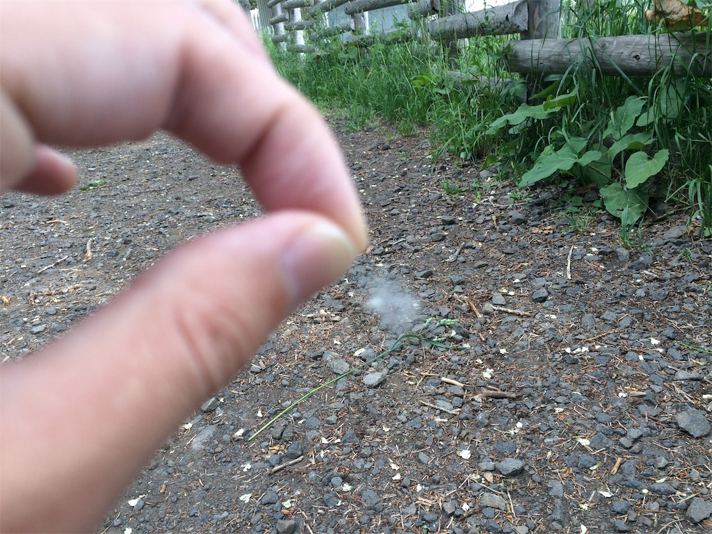 f:id:nagoyaman:20190715155836j:image