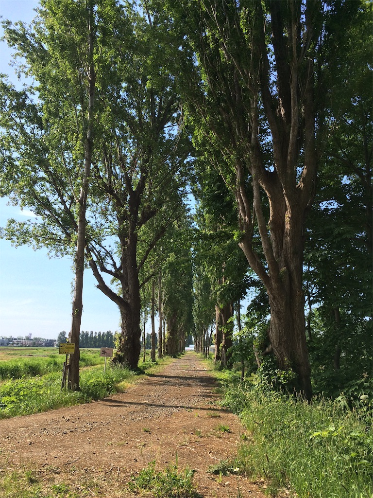 f:id:nagoyaman:20190715160247j:image