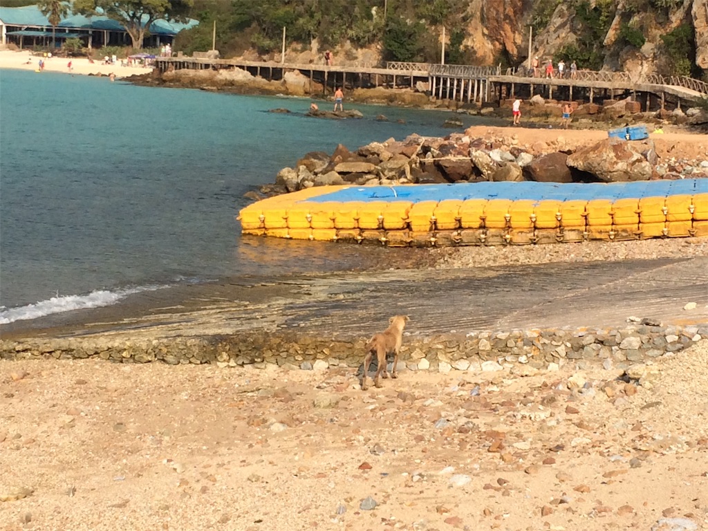 f:id:nagoyaman:20200126110349j:image