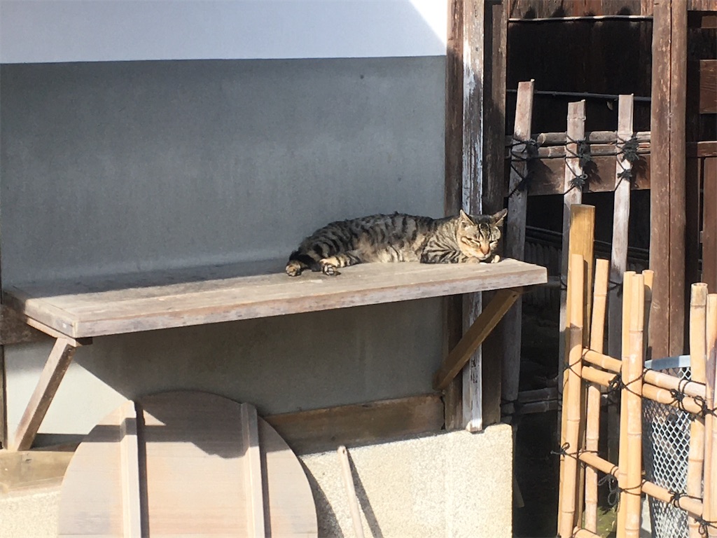 f:id:nagoyaman:20200523153831j:image