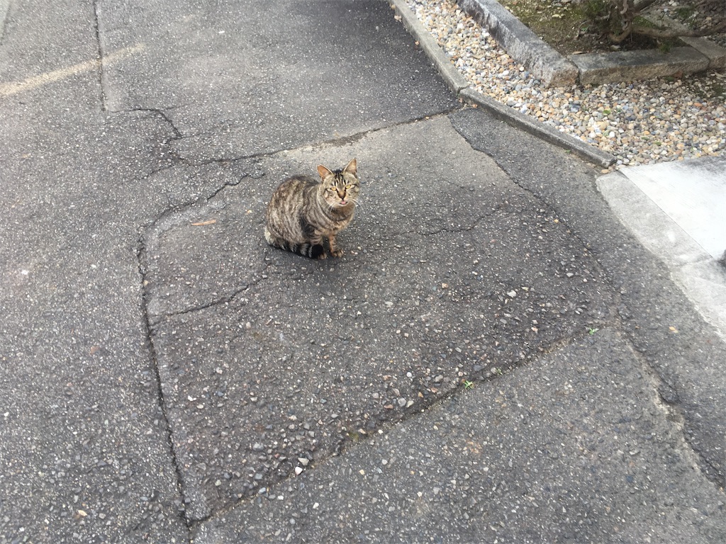 f:id:nagoyaman:20200523153731j:image