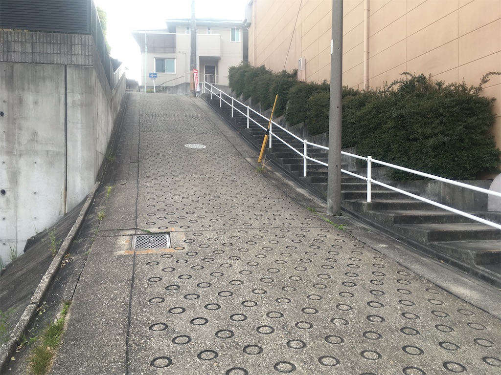 f:id:nagoyaman:20200604221122j:image