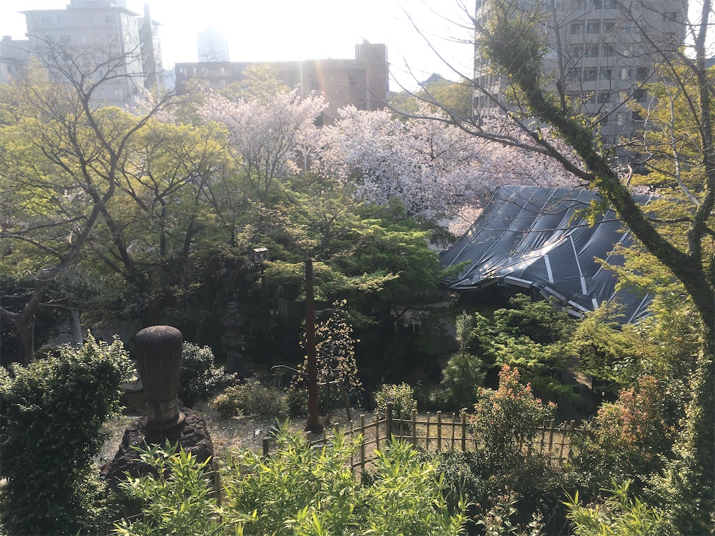 f:id:nagoyaman:20200603102555j:image