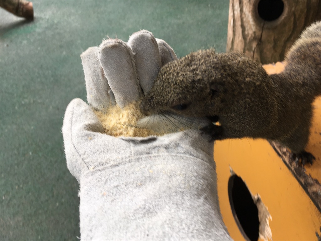 f:id:nagoyaman:20201013132414j:image