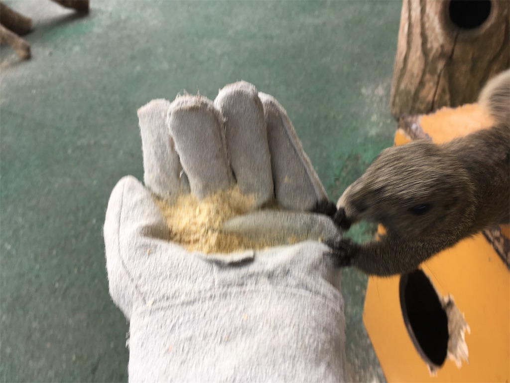 f:id:nagoyaman:20201013132546j:image