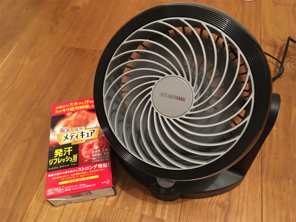 f:id:nagoyaman:20201230112540j:image