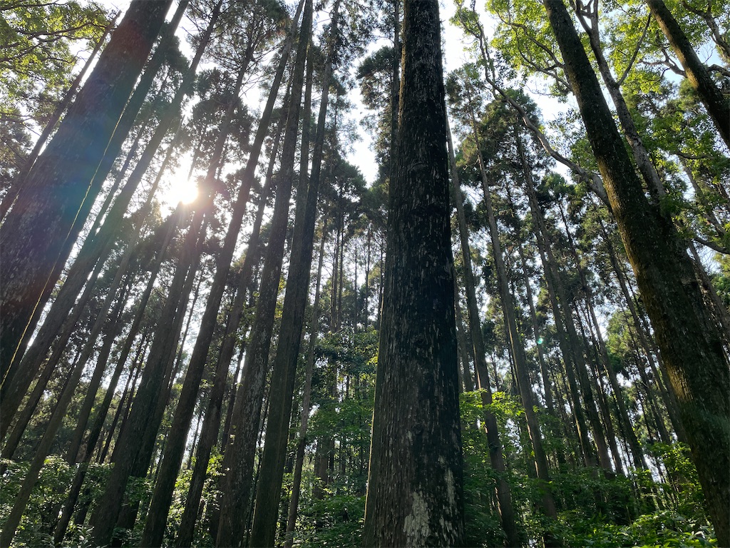 f:id:nagoyaman:20230521110706j:image