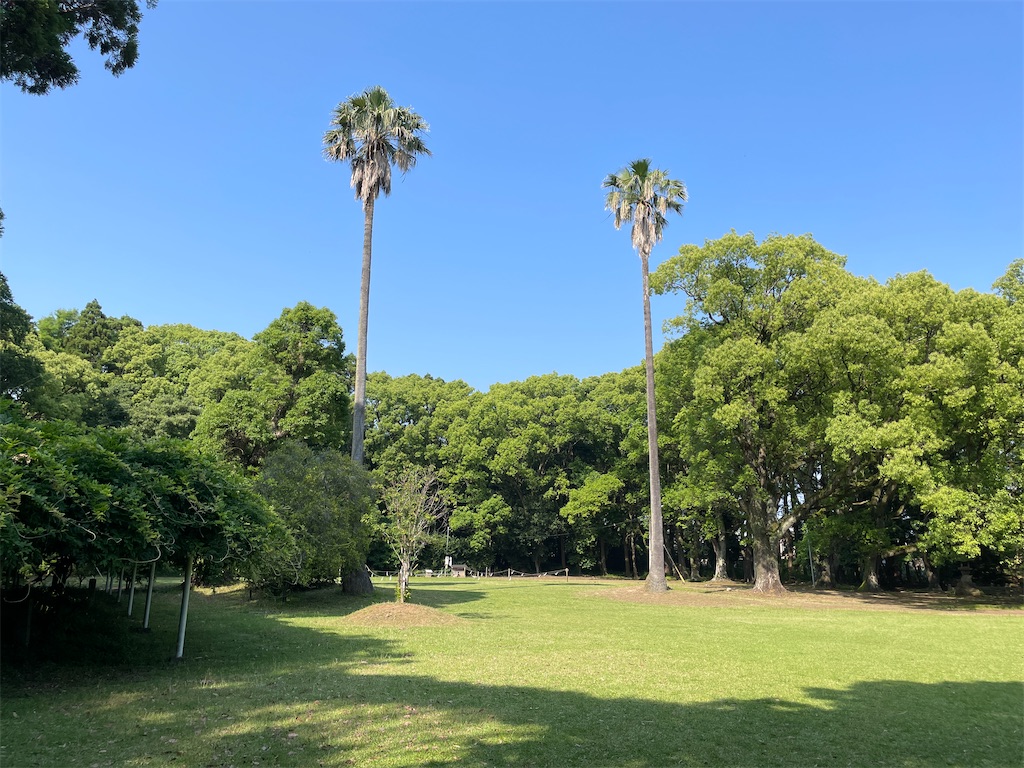 f:id:nagoyaman:20230521110555j:image